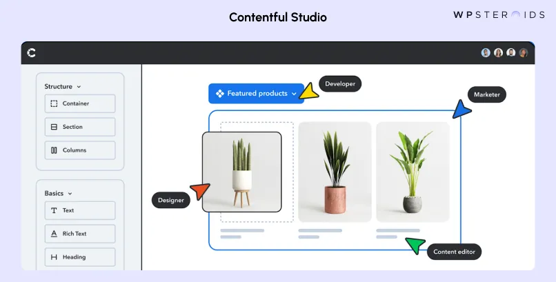 Image: Contentful Dashboard