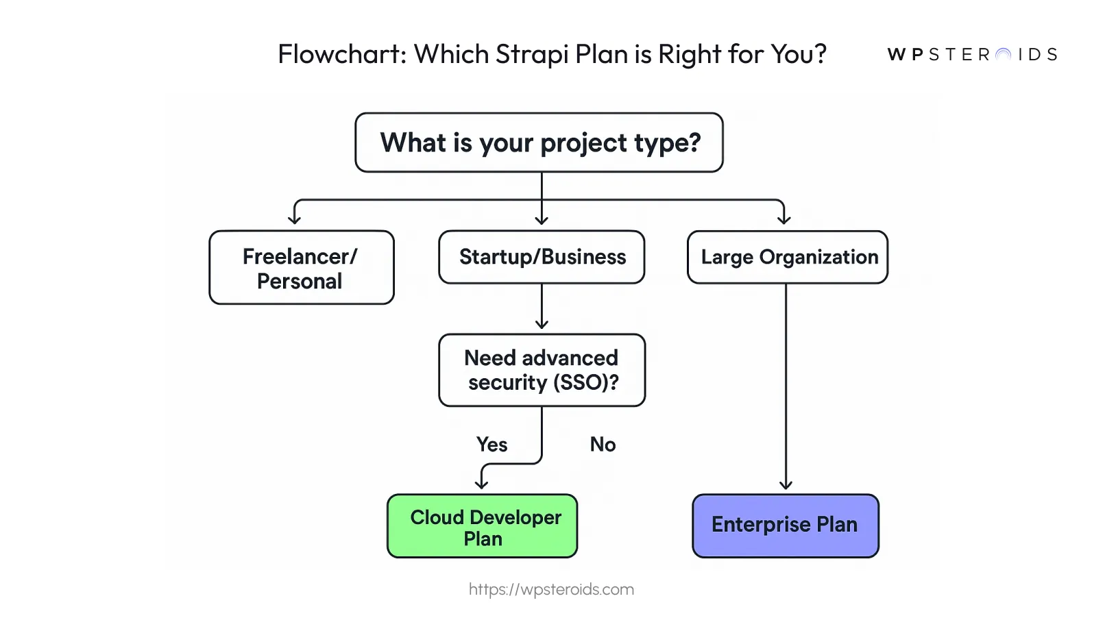 flowchart-which-strapi-plan-is-right-for-you-.webp