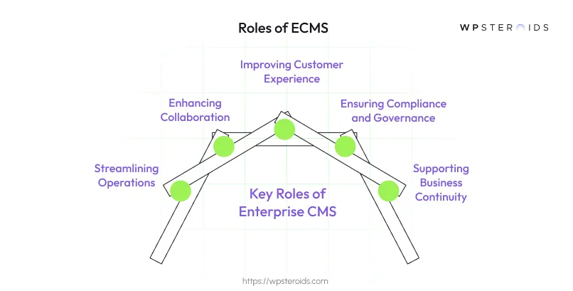 Image: Roles of ECMS