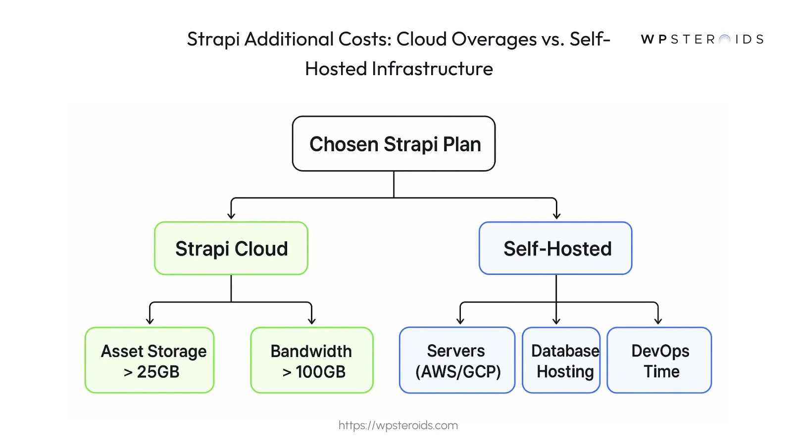strapi-additional-costs-cloud-overages-vs-self-hosted-infrastructure.webp