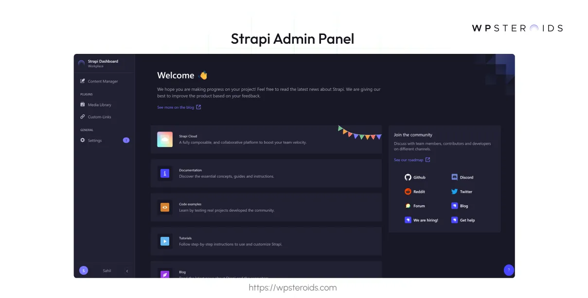 Image: Strapi Admin Panel