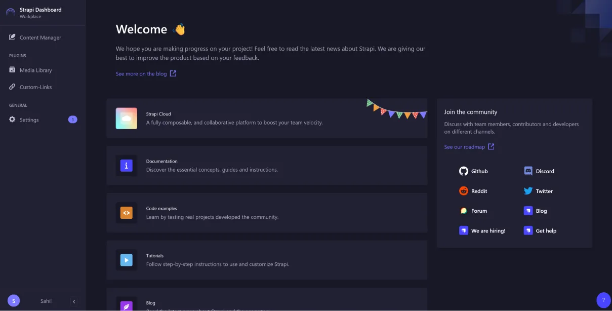 Image: Strapi Admin Panel